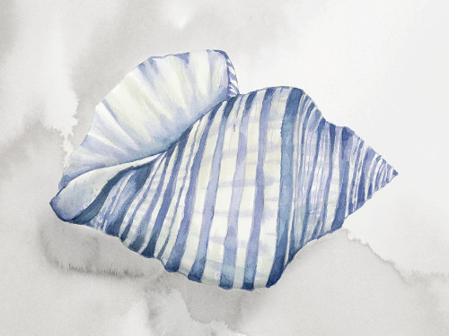 Soft Blue Shell I Poster Print - Eli Jones