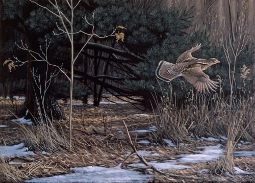 Grouse On The Wing Poster Print - Wilhelm Goebel