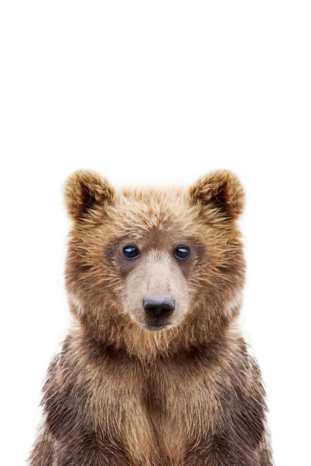 Baby Bear Poster Print - and Seb Sisi