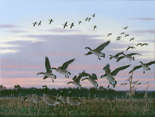 Wings Over Delmarva Poster Print - Wilhelm Goebel
