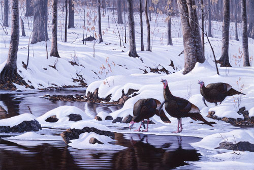 Hardwood Creek - Wild Turkeys Poster Print - Wilhelm Goebel
