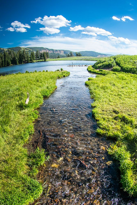 Trout Lake-Yellowstone National Park-Wyoming-USA Poster Print - Roddy Scheer