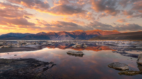 Sierra Nevada sunrise reflects in Mono Lake. Poster Print - Betty Sederquist