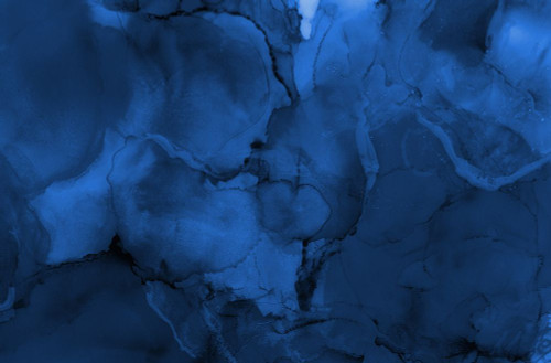 Sapphire-AL5 Poster Print - Melissa Renee