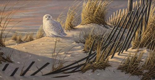 Sunrise Snowy Poster Print - Wilhelm Goebel