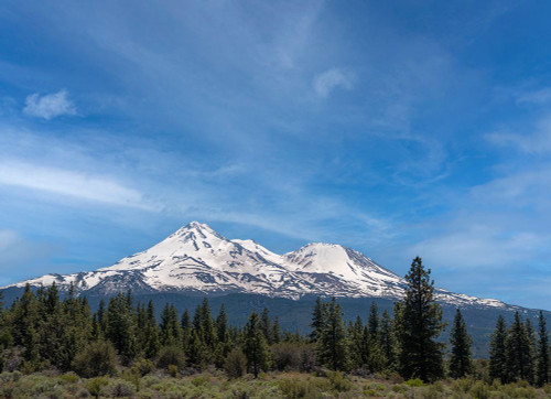 Mt. Shasta the tallest volcano in California. Poster Print - Betty Sederquist