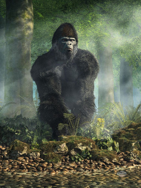 Gorilla Poster Print - Daniel Eskridge
