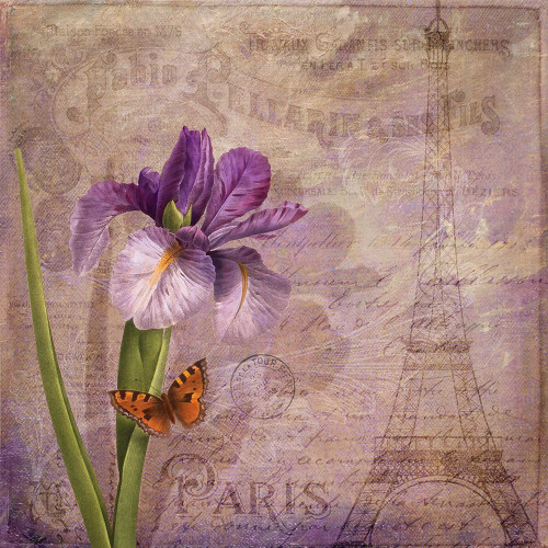 Ville de Paris I Poster Print - Tina Lavoie