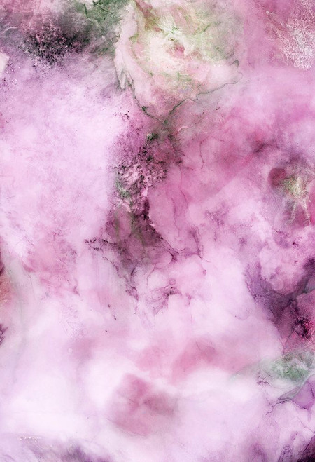 English Garden-R6 Poster Print - Melissa Renee