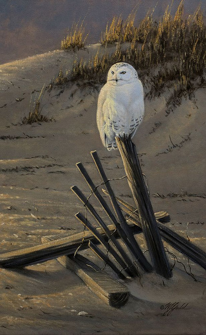 Dune Watcher - Snowy Owl Poster Print - Wilhelm Goebel