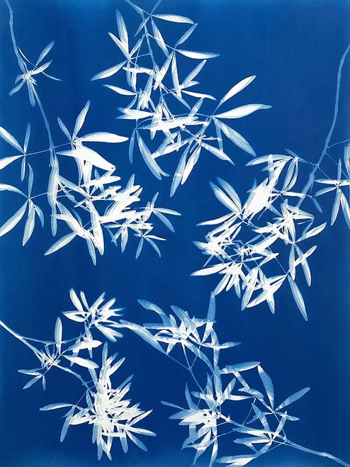 Light through Leaves 1 Poster Print - Christine So