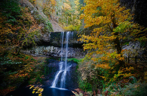 Mystical Falls 3 Poster Print - Vizvary Photography Susan