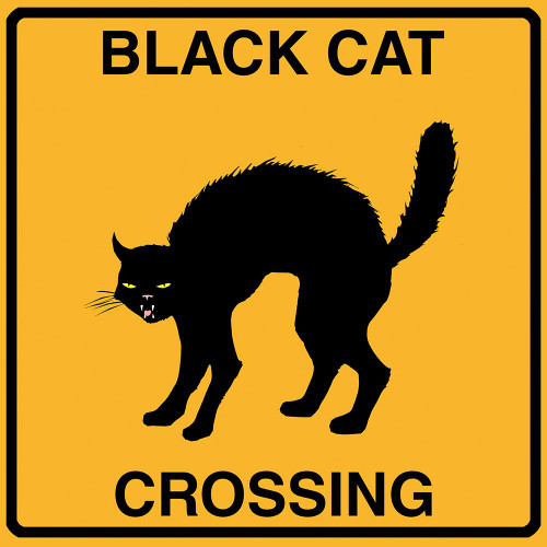 Black Cat Crossing Poster Print - Tina Lavoie