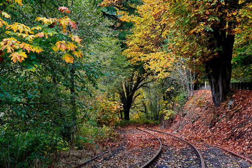 Curved Tracks Poster Print - Vizvary Photography Susan