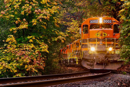 Closest Train on the Tracks Poster Print - Vizvary Photography Susan