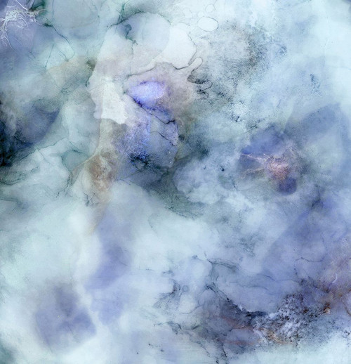 Hydrangea-3BPL Poster Print - Melissa Renee