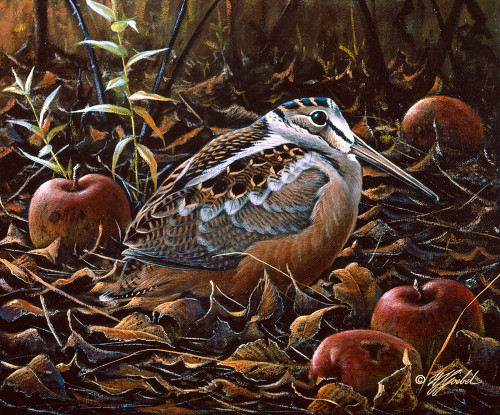 Orchard Woodcock Poster Print - Wilhelm Goebel