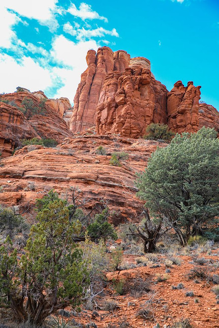 Sedona- Arizona- USA. Red rock formations Poster Print - Jolly Sienda
