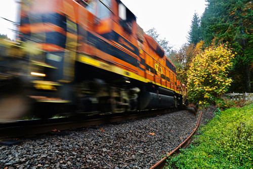 Missed the Train Poster Print - Vizvary Photography Susan