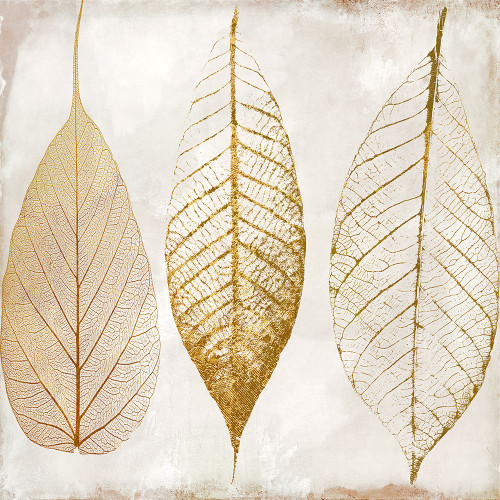 Fallen Gold II Poster Print - Sasha