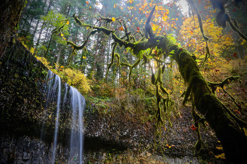 Mystical Falls 2 Poster Print - Vizvary Photography Susan