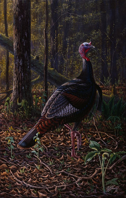 Ever Alert - Wild Turkey Poster Print - Wilhelm Goebel
