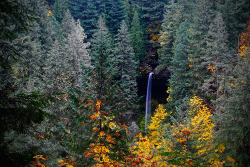 Love Falls 1 Poster Print - Vizvary Photography Susan