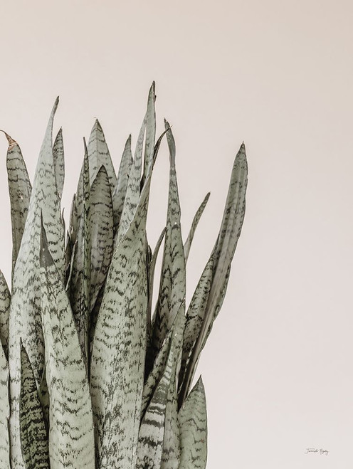Boho Snake Plant Poster Print - Jennifer Rigsby