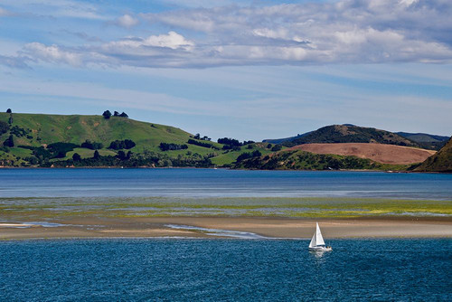 Lone Sailor in New Zealand Poster Print - Vizvary Photography Susan