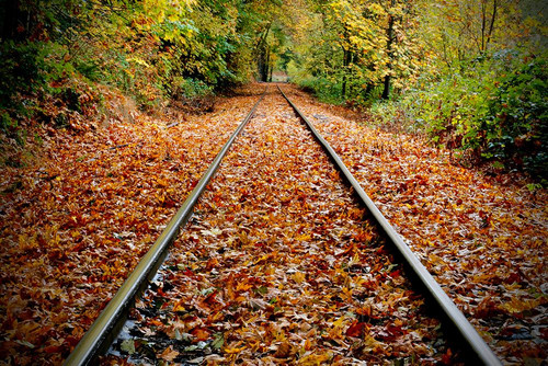 Looking Down the Tracks Poster Print - Vizvary Photography Susan