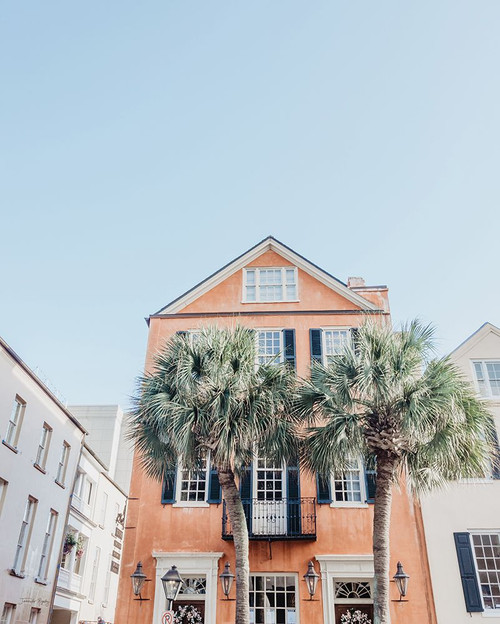 Charleston Palms Poster Print - Jennifer Rigsby