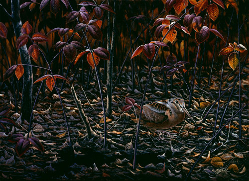 The Woodcocks World Poster Print - Wilhelm Goebel