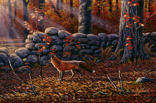 Autumn Reds - Red Fox Poster Print - Wilhelm Goebel