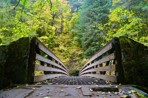 Autums Bridge 2 Poster Print - Vizvary Photography Susan