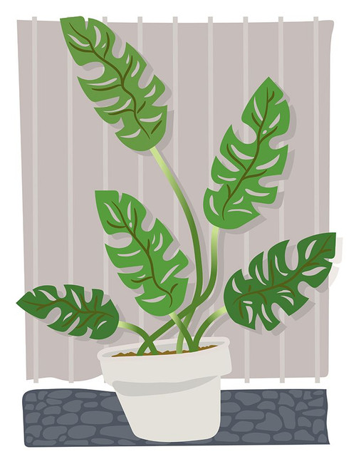 Monstera Poster Print - Noble Fine Randy
