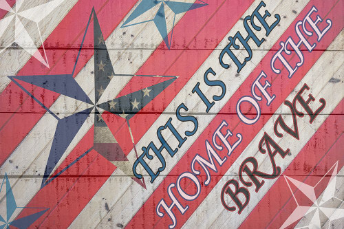 American Heart 1 Poster Print - Jamie Phillip