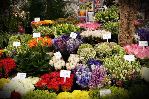 Flower Mart Poster Print - Vizvary Photography Susan