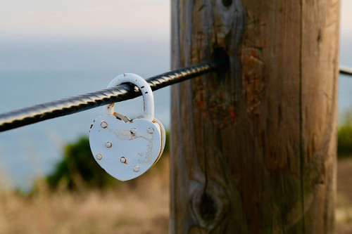 Love On A Wire Poster Print - Vizvary Photography Susan