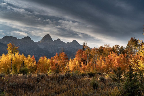 USA-Wyoming. Autumn evening near Black Tail Butte-Grand Teton National Park. Poster Print - Judith Zimmerman