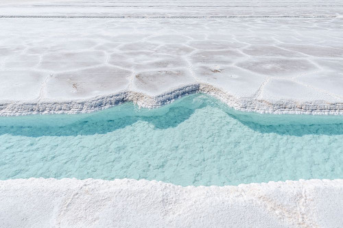 Salta Argentina III Poster Print - Richard Silver