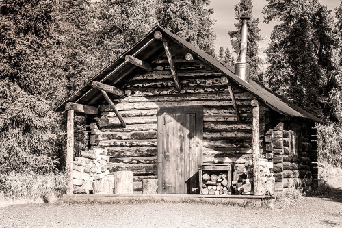 Small- rustic log home in sepia. Poster Print - Janet Muir