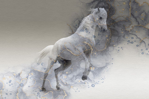 Mystic Horse Poster Print - Jamie Phillip