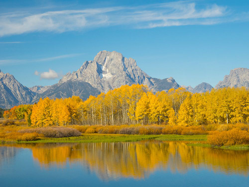 Wyoming- Grand Teton National Park. Mount Moran and golden Aspen trees Poster Print - Jamie and Wild