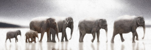 Mirage Poster Print - Noah Bay