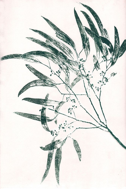 Eucalyptus 2 Green Poster Print - Pernille Folcarelli