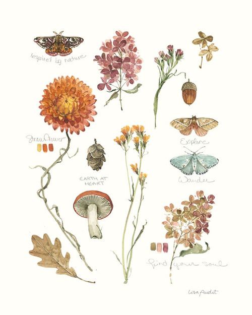 Seasons Study V Poster Print - Lisa Audit