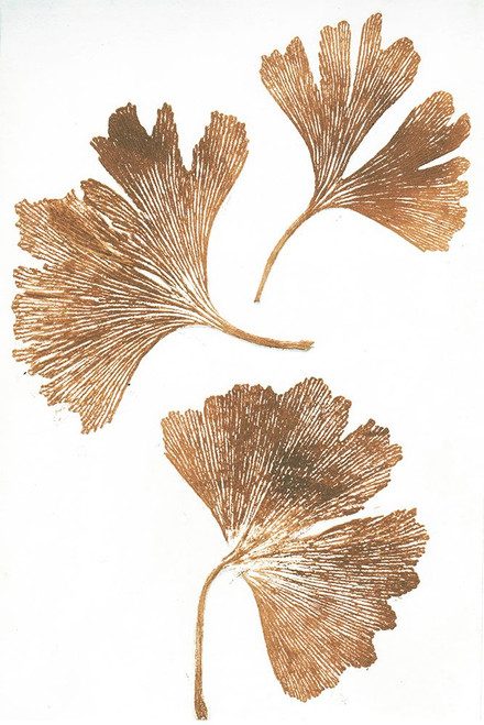 Ginkgo 3 Brown Poster Print - Pernille Folcarelli