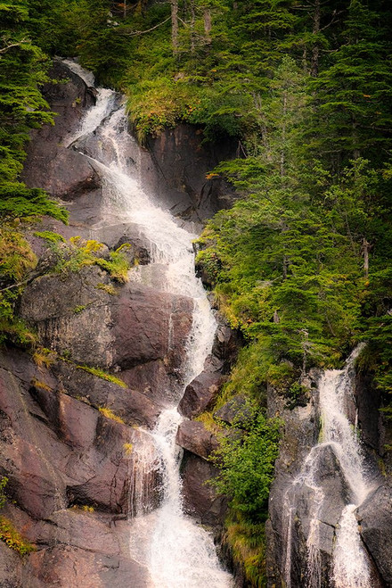 Kenai Peninsula. Two waterfalls surrounded by pine trees Poster Print - Janet Muir