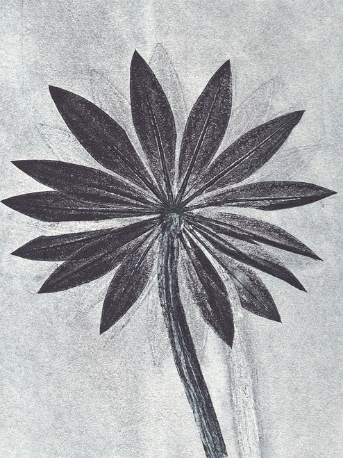 Lupine Smoke Poster Print - Pernille Folcarelli