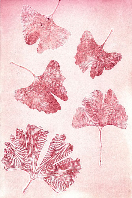Ginkgo 4 Sorbet Poster Print - Pernille Folcarelli